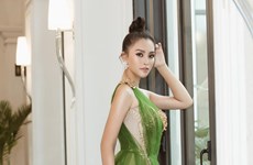 越南小姐桂冠陈小微成为2019年广平洞穴节形象大使（组图）