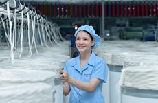 EVFTA--越南纺织服装业大力吸引外资的催化剂