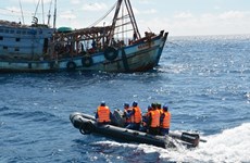 越南海警加强打击非法捕鱼活动