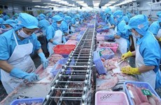 越南查鱼对东盟出口猛增