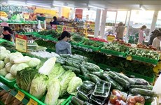 将符合出口标准的越南商品引入国内零售渠道