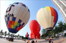 岘港市举行热气球飞行表演（组图）