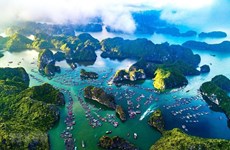 绿色海洋经济：助力越南到2050年实现碳中和的机遇