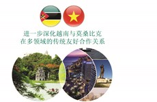 图表新闻：进一步深化越南与莫桑比克 在多领域的传统友好合作关系