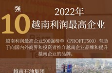 图表新闻：2022年越南利润最高企业500强榜单出炉