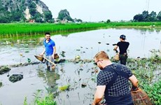 越南给游客带来难忘的体验