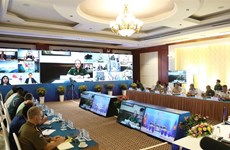 东盟防务高官扩大会议工作组召开视频会议