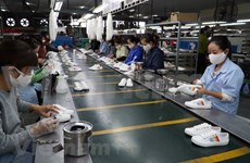 越南鞋类与皮革产品出口呈现出良好态势