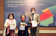 越南正式公布“关于阻碍性别平等的绊脚石”的首份报告
