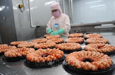 着力提高越南虾类产品的竞争力