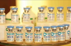 非洲猪瘟疫苗：越南畜牧业提高地位的机会
