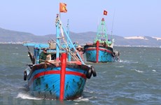越南着力预防和阻止IUU捕捞 解除欧盟委员会对越南的“黄牌”警告 