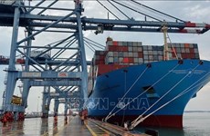 越南船队力争到2030年进出口货物运量占市场份额的20%