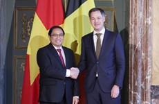 越南与比利时传统友好关系不断得到巩固和发展