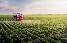 九龙江三角洲：以绿色经济发展赋能农产品竞争力