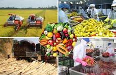 EVFTA——越南农产品在欧洲市场实现突破的机遇