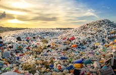 越南致力于推进关于塑料污染的全球条约的建设