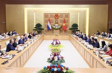 越南政府总理范明政与荷兰首相马克·吕特举行会谈