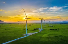 绿色能源：未来可持续发展的解决方案  