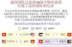 图表新闻：越南球队以连续16场不败的战绩打破了法国球队的纪录 
