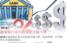 图表新闻： 2018年越南银行业不良贷款大幅下降 