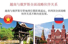 图表新闻：越南与俄罗斯全面战略伙伴关系简介