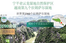 图表新闻：宁平省云龙湿地自然保护区成为越南第九个拉姆萨尔湿地