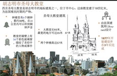 图表新闻：胡志明市圣母大教堂