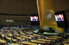 越南与联合国安理会：从参与者到致力于和平与可持续发展的伙伴