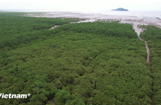 越南积极保持生态平衡 努力实现净零排放目标