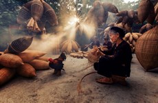 探访越南兴安省有着两百年历史的黄鳝笼编织传统村（组图）