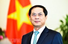 越南外交部副部长裴青山：亚欧合作的吸引力、地位及合作潜力日益上升