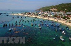 越南海洋岛屿：构建蓝海经济合作伙伴小组