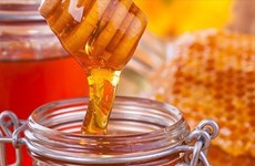 越南蜂蜜遭美国反倾销调查 努力守住美国市场
