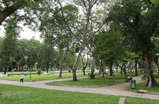 2022年胡志明市将建设总面积超10 公顷的公园 