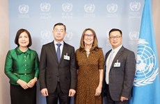 越南国家审计署与联合国深化全面合作