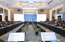 国外市场为越南数字技术企业敞开机会大门