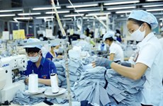 2024年越南劳动力市场将逐步复苏