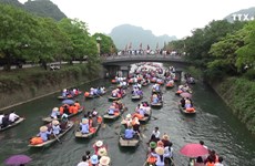 宁平省努力打造旅游品牌   助推家庭寄宿旅游发展
