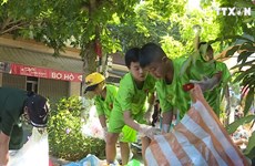 岘港市儿童环保俱乐部——环保小卫士