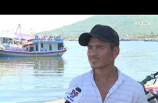 岘港市重拳打击水产品非法捕捞