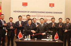 越南国家审计署努力加强国际合作