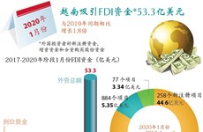 图表新闻：2020年1月份越南吸引FDI资金达53.3亿美元