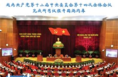 图表新闻：越南共产党第十二届中央委员会第十四次全体会议完成所有议程并圆满闭幕