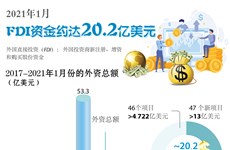 图表新闻：2021年1月FDI资金约达20.2亿美元