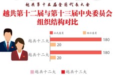 图表新闻：越共第十二届与第十三届中央委员会组织结构对比