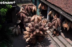 传统鱼篓编织——越南北部三角洲的独特传统手工艺