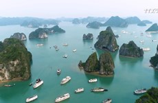 颇受国内外游客青睐的越南八处世界遗产