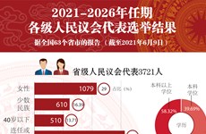 图表新闻：2021-2026年任期各级人民议会代表选举结果