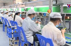 北江省逐步实现稳生产稳防疫双重目标